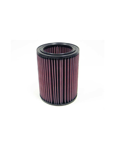 Replacement Air Filter