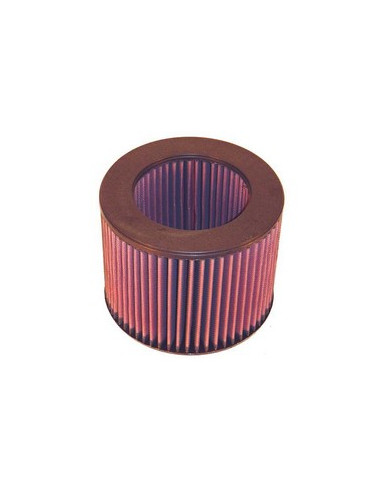Replacement Air Filter