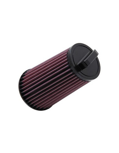 Replacement Air Filter
