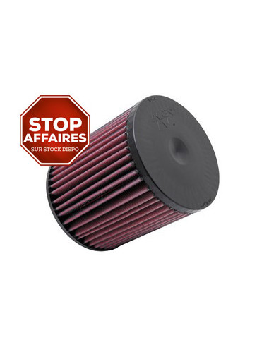 Replacement Air Filter