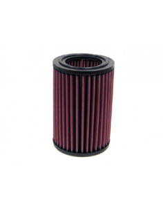 Replacement Air Filter