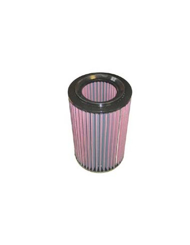 Replacement Air Filter
