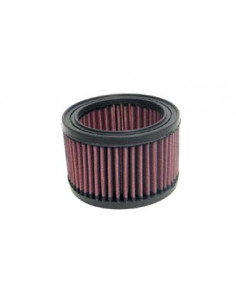 Replacement Air Filter