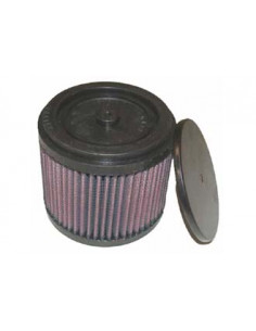 Replacement Air Filter