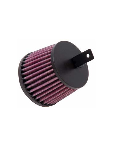 Replacement Air Filter