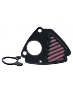 Replacement Air Filter