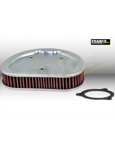 Replacement Air Filter  (HARLEY 2963308)