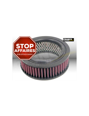Replacement Air Filter