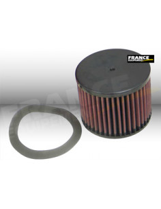 Replacement Air Filter