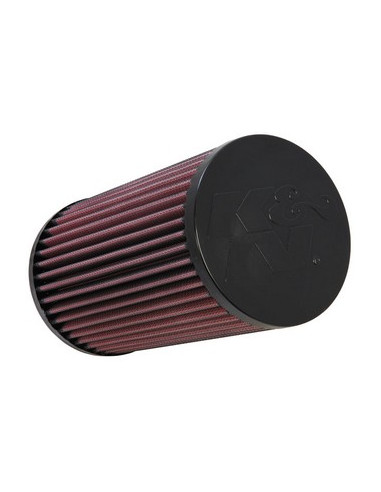 Replacement Air Filter