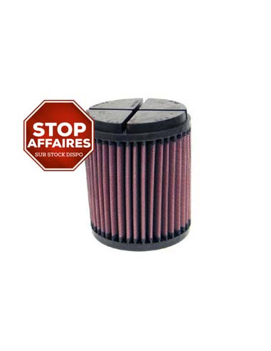 Replacement Air Filter
