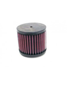 Replacement Air Filter