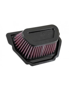 Race Specific Air Filter