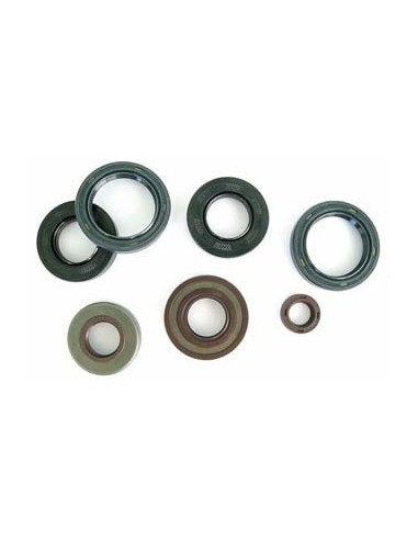 Joint spy MGM-MSD PARAOLIO TB 14x24x6  ATHENA