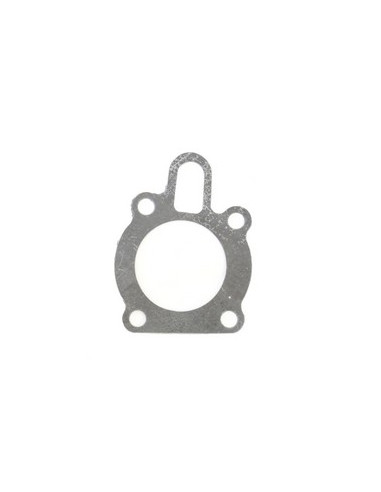 Pump mounting