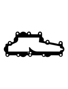 Joint pour collecteur d'admission ATHENA