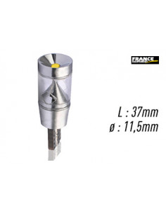 AMPOULE TEMOIN BLANCHE SANS CULOT W2,1x9,5D/W5W-T10 12V9W