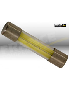 FUSIBLE VERRE 6x32MM STANDARD 20A