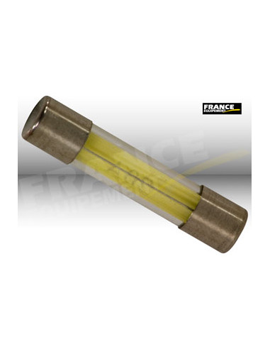 FUSIBLE VERRE 6x32MM STANDARD 20A