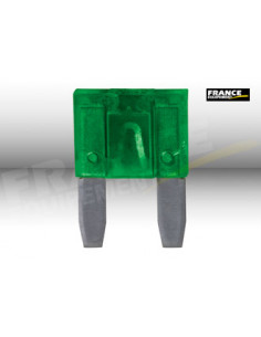 1 FUSIBLE STANDARD 30A 19x19mm