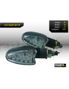 Paire de clignotants, tige courte, ampoule LED.