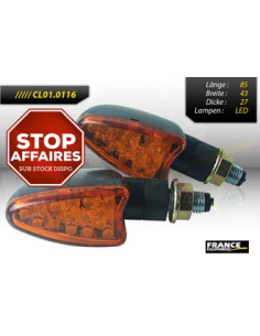 Paire de clignotants, tige courte, ampoule LED.
