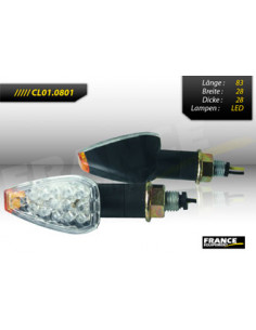 Paire de clignontants, tige courte noire, ampoule LED