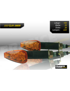 Paire de clignotants, tige longue, ampoule LED.