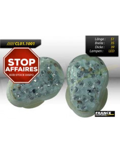 Paire de clignotants pour KAWASAKI, ampoule LED.