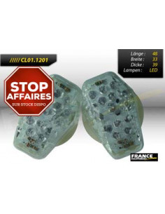 Paire de clignotants pour SUZUKI, ampoule LED.