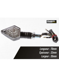 Paire de clignotants, ampoule LED.