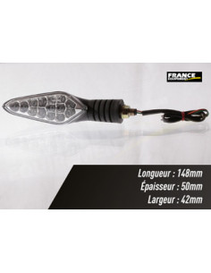 Paire de clignotants, ampoule LED.