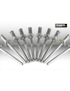 RIVETS (10 PCS) - Homologué