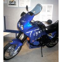 BULLE ERMAX HAUTE PROTECTION + 25 CM POUR TIGER 900 95 98