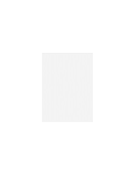 Planche à découper antidérapant pour réservoir Format : 250 x 350 mm