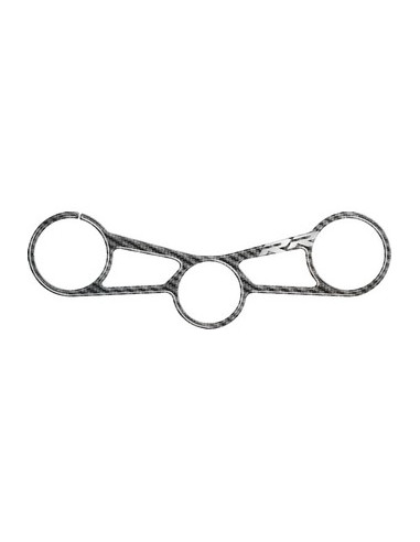 Protège T de fourche "Carbone" pour BMW S 1000RR  2015