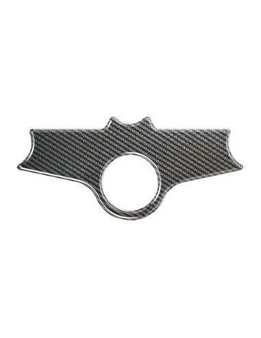 Protège T de fourche "Carbone" pour BMW R 1100 S