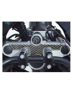 Protège T de fourche "Carbone" pour BMW-R 1100-1150 GS