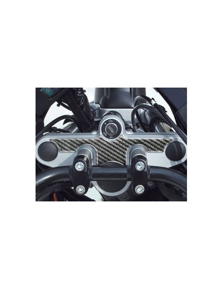 Protège T de fourche "Carbone" pour BMW-R 1100-1150 GS