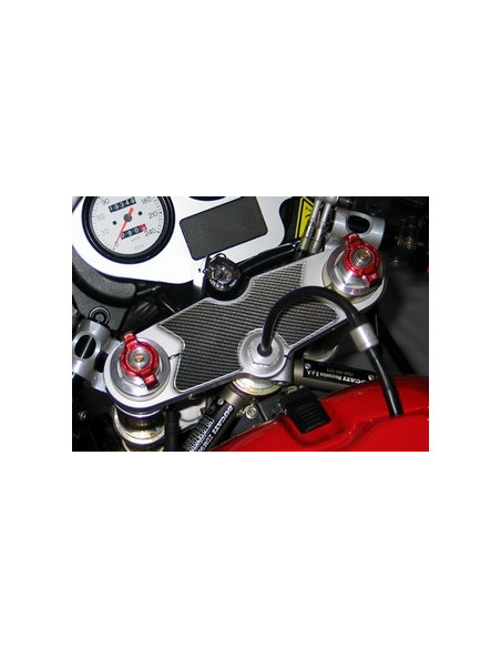 Protège T de fourche "Carbone" Ducati 620-750-800-900-1000 SS/SPORT