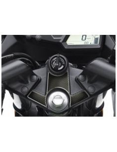 Protège T de fourche "Carbone" pour Kawasaki ZX 250 R - ZX 300 ABS 200