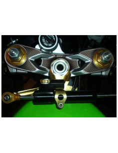 Protège T de fourche "Carbone" pour Kawasaki ZX6R 2005-2006