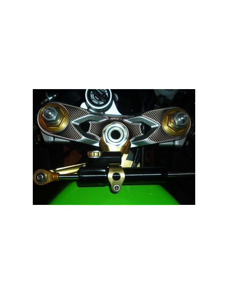 Protège T de fourche "Carbone" pour Kawasaki ZX6R 2005-2006