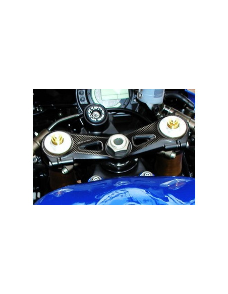 Protège T de fourche "Carbone" pour Kawasaki ZX10R 2004-2005