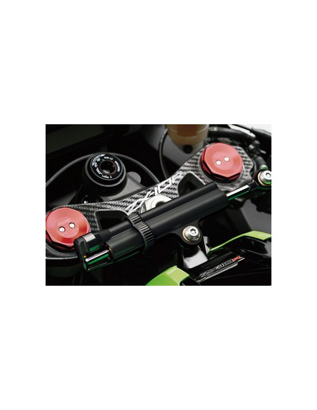 Protège T de fourche "Carbone" pour Kawasaki ZX10R 2011-2015
