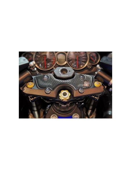 Protège T de fourche "Carbone" pour Suzuki HAYABUSA 2006-2015