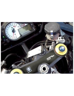 Protège T de fourche "Carbone" pour Suzuki 1000 GSXR 2001-2002