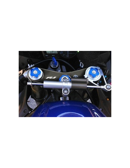 Protège T de fourche "Carbone" pour Yamaha R1 2002-2003