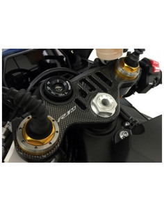 Protège T de fourche "Carbone" pour Yamaha R1M 2015