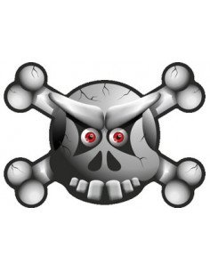 Label déco moto "CRANE". 2 pièces.